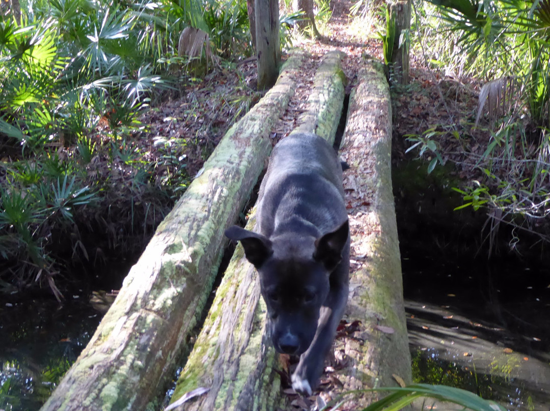 St. Francis Trail-迪兰必去景点