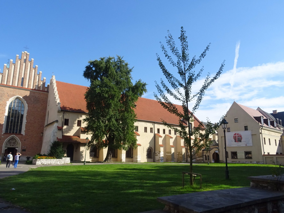 Bazylika Franciszkanów Św. Franciszka Z Asyżu