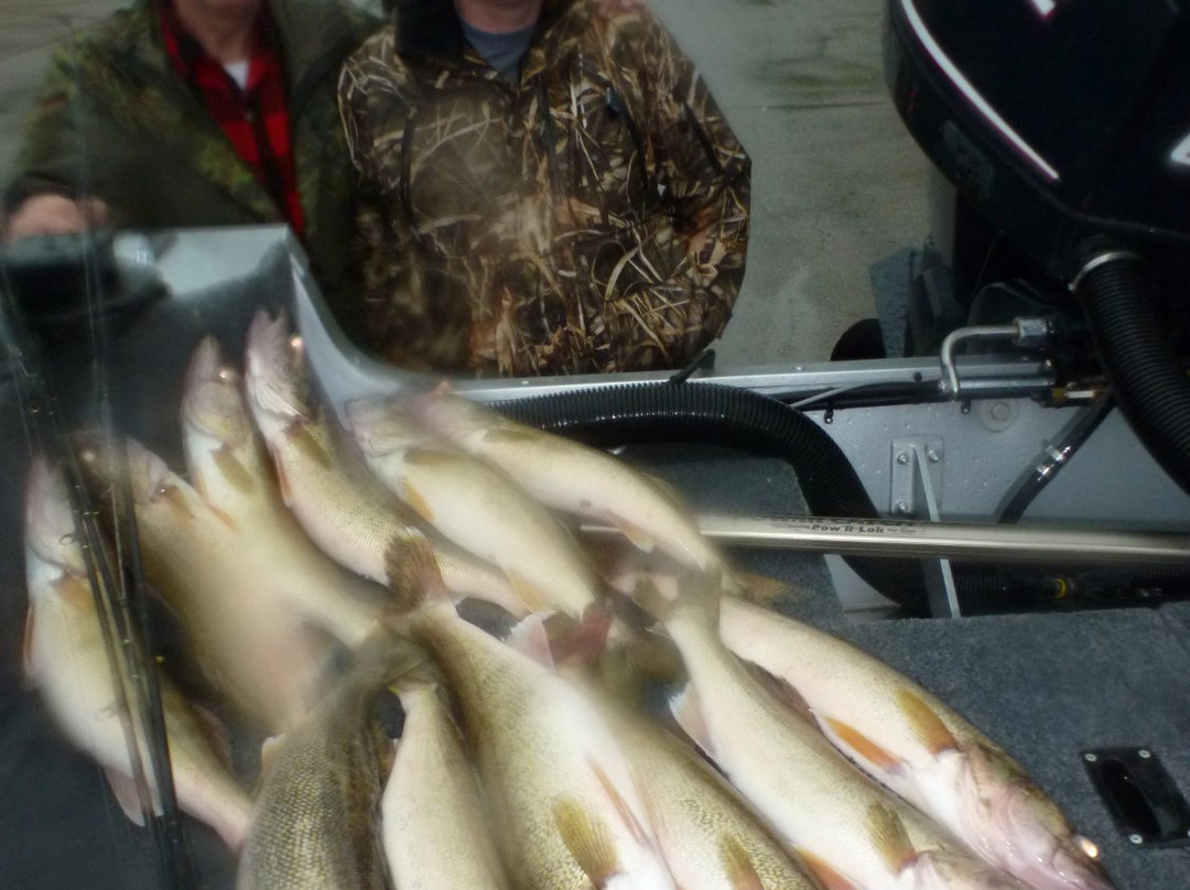 Green & Gold Guide Service-格林贝必去景点