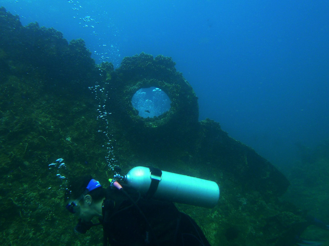 M/V Guimaras (Julien's Wreck)景点图片