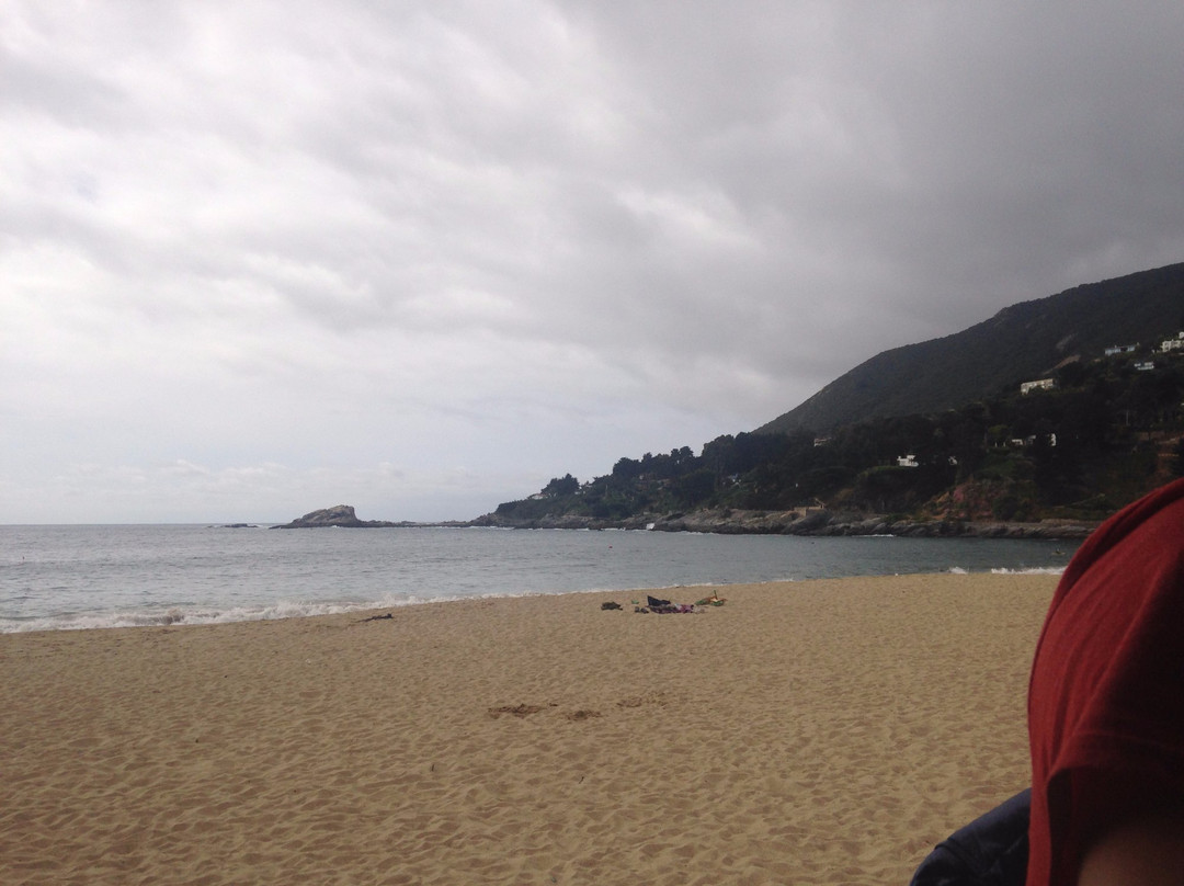 Playa Zapallar-萨帕亚尔必去景点