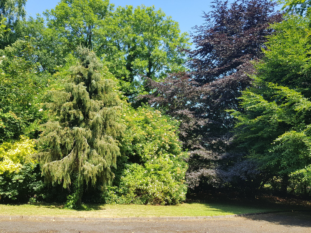 Copper Beeches Lodge主图