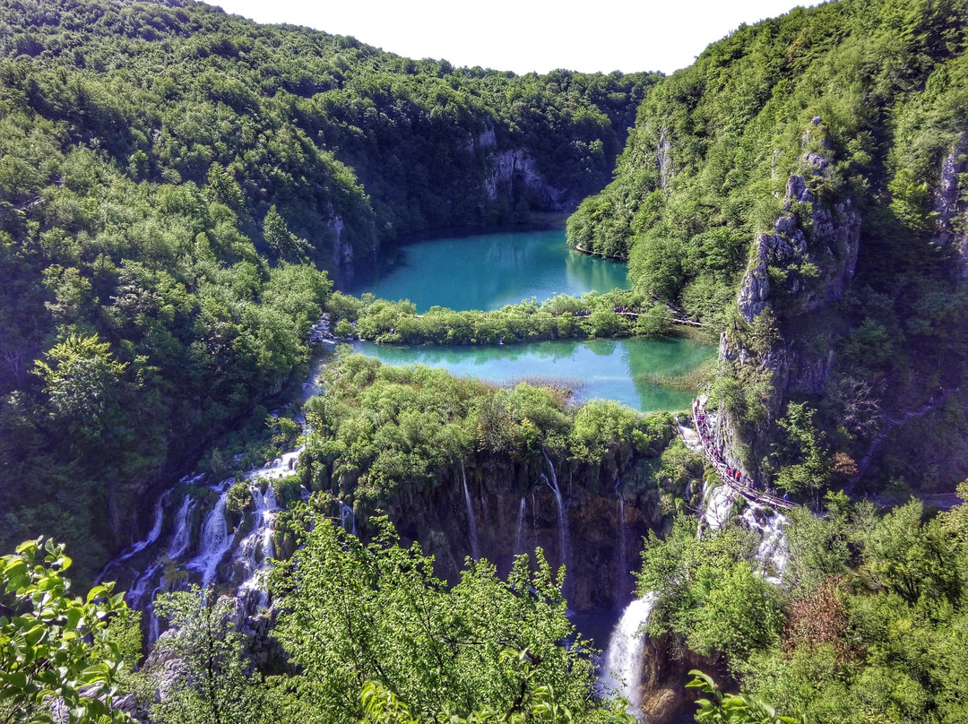 Camelus Adventures - Istrialand-布延必去景点