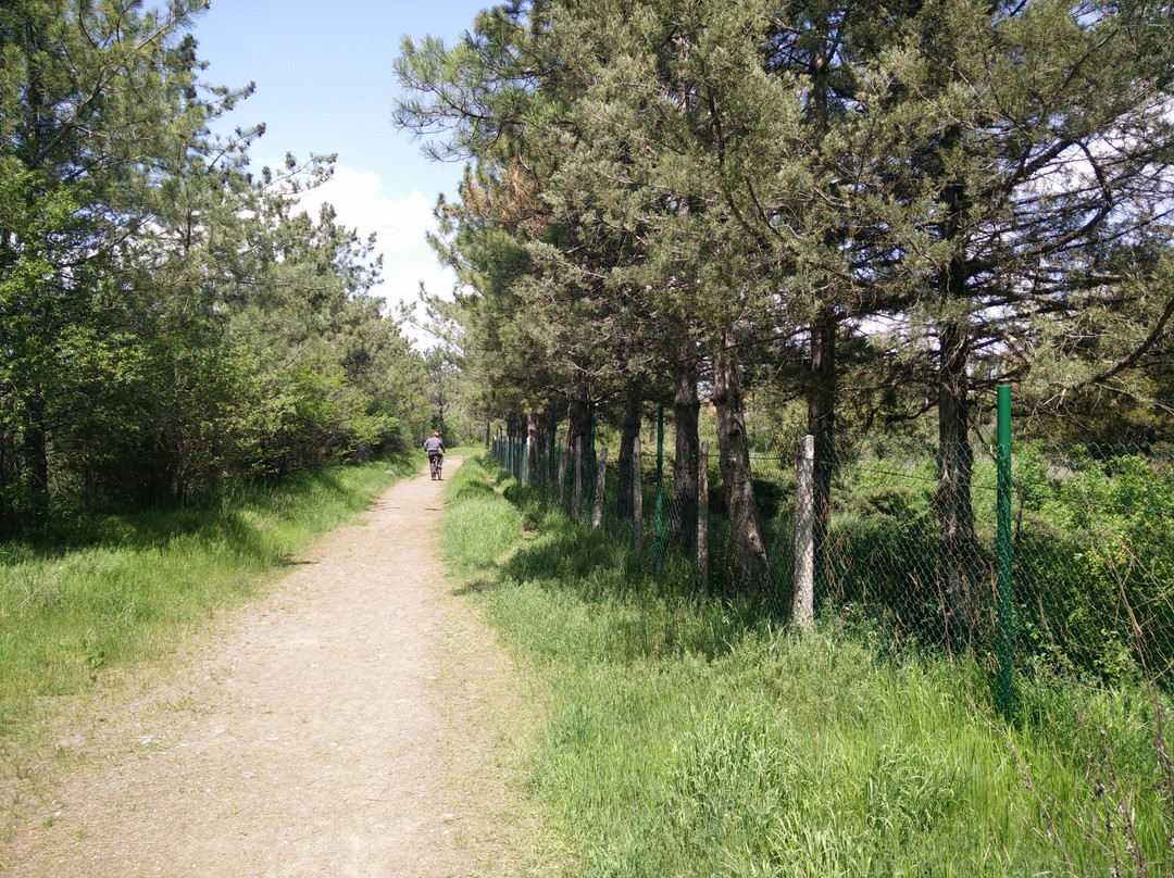 Yerevan Botanical Garden-埃里温必去景点