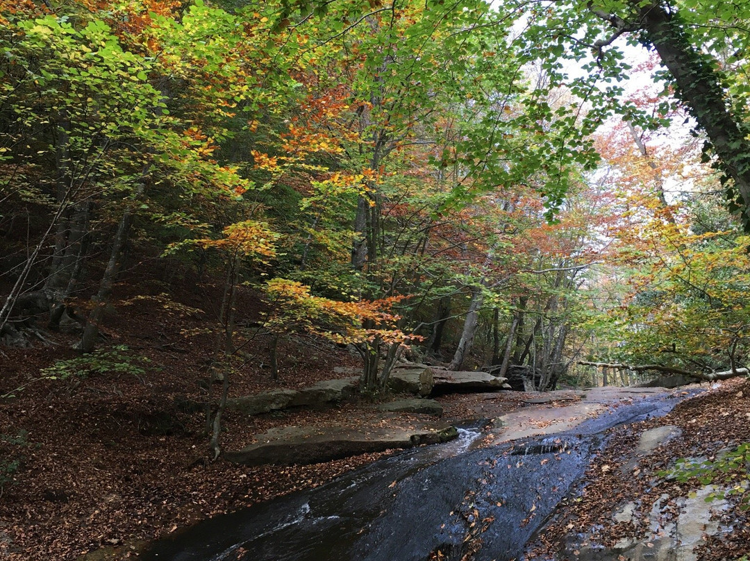 Pueblo de Montseny景点图片