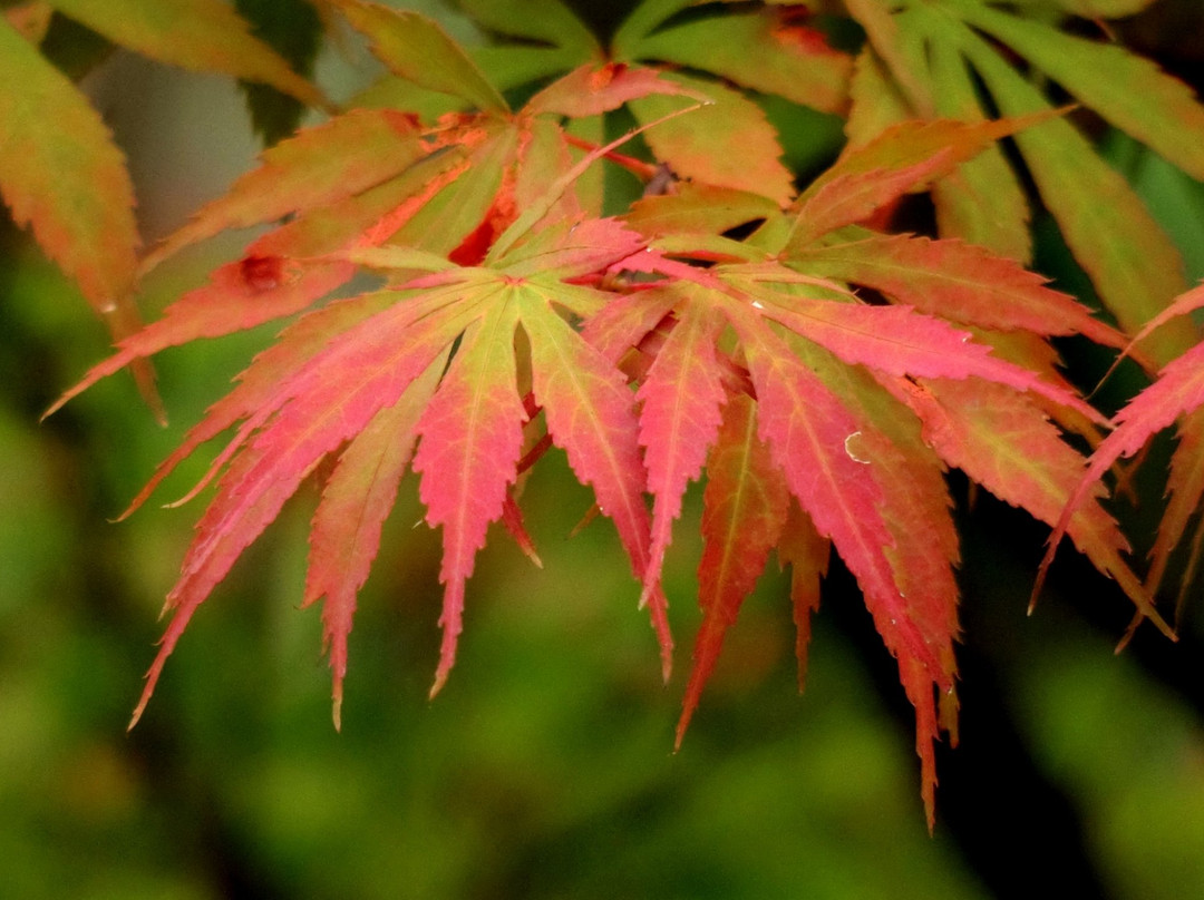 陶渊明宾馆主图