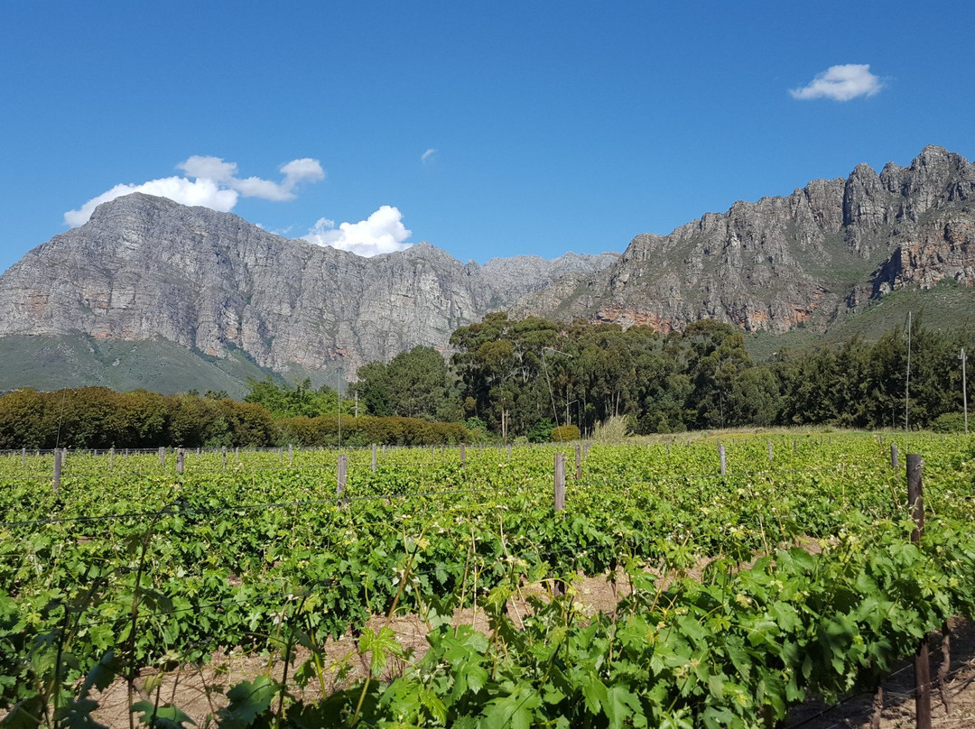 帕尔旅游景点-Mellasat Vineyards