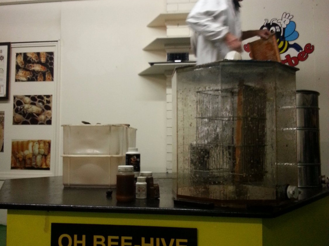 超极蜜蜂博物馆-可伦宾必去景点