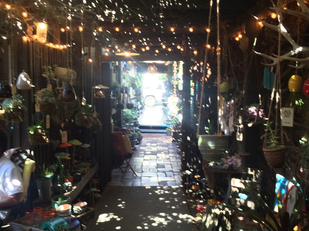 FiG Curated Living-奥海必去景点