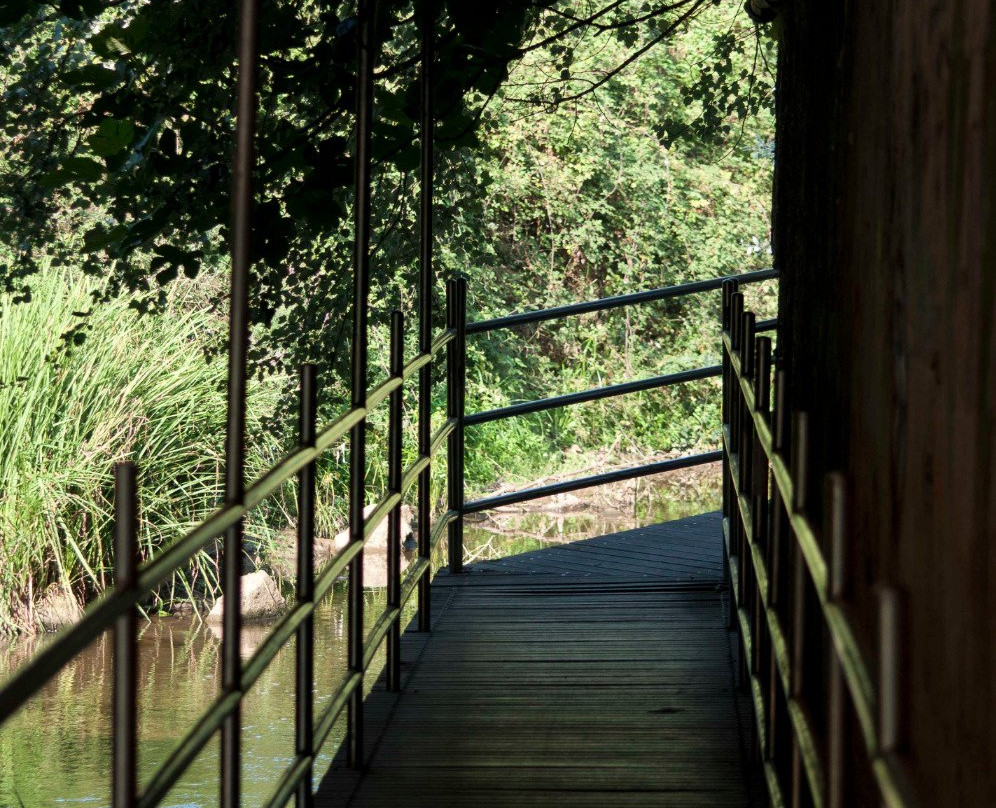 Paseo Fluvial del Rio Lagares景点图片