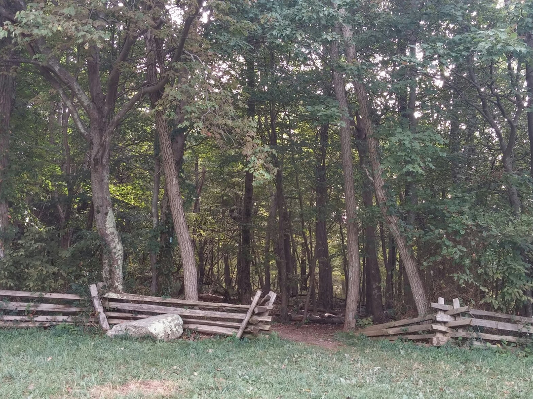 Elkwallow Picnic Area-雪兰多国家公园必去景点