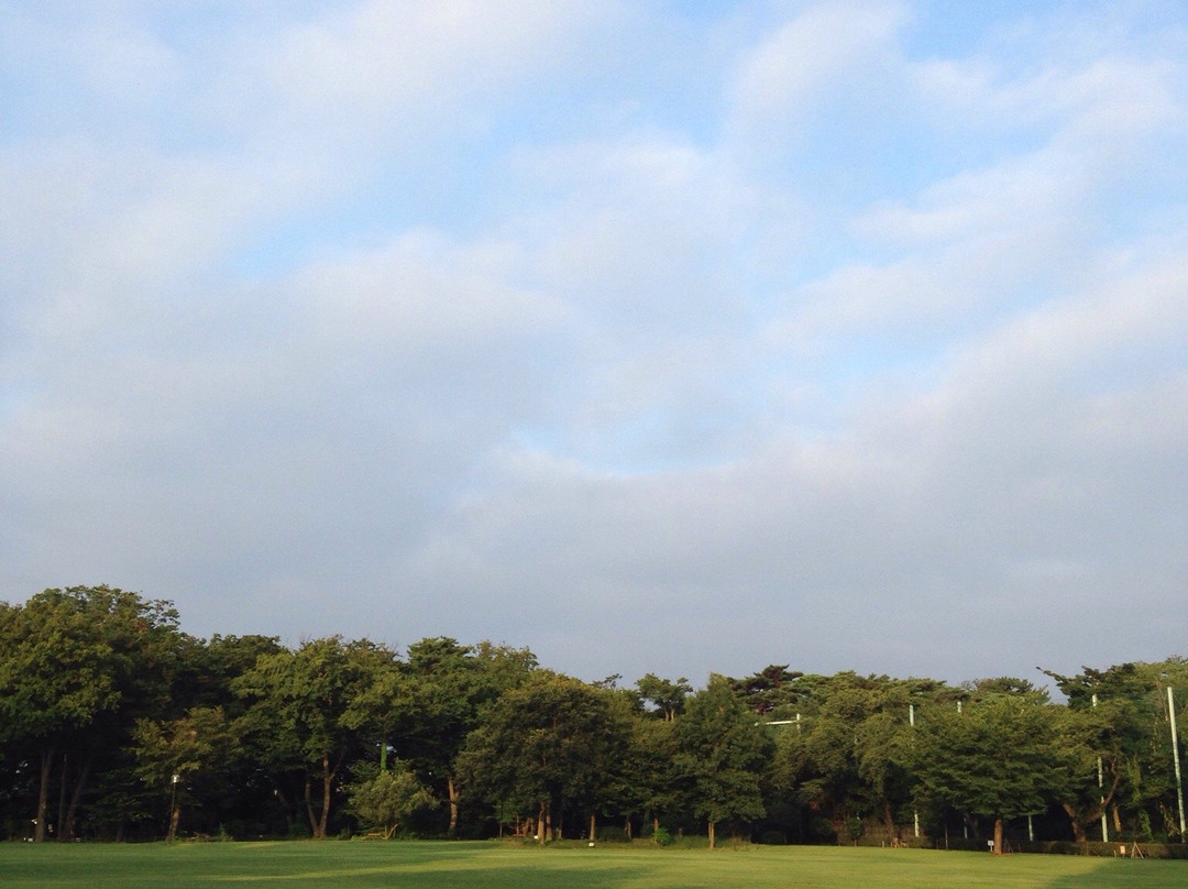 Kashinomiya Park-杉并区必去景点