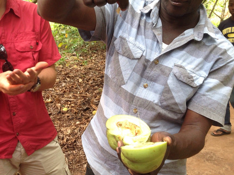 Spice Tour - Mitu's Spice Tour-马林地必去景点