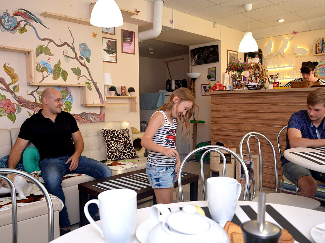 MYAUCafe Koteynya景点图片