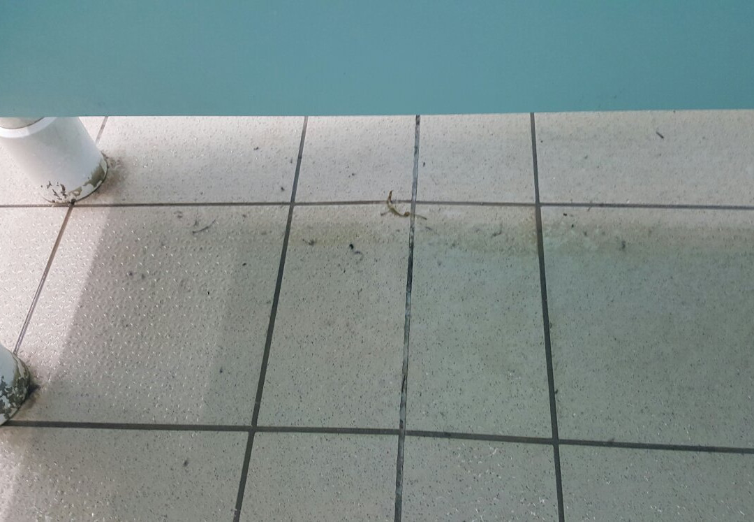 Bletchley Leisure Centre-Bletchley必去景点