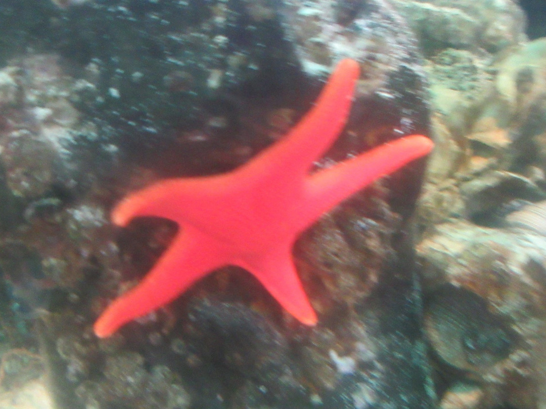 Marine Life Center景点图片