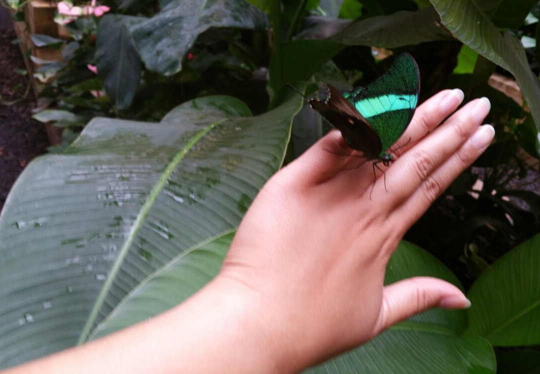 Dschungelhaus in Tirol-Terfens必去景点