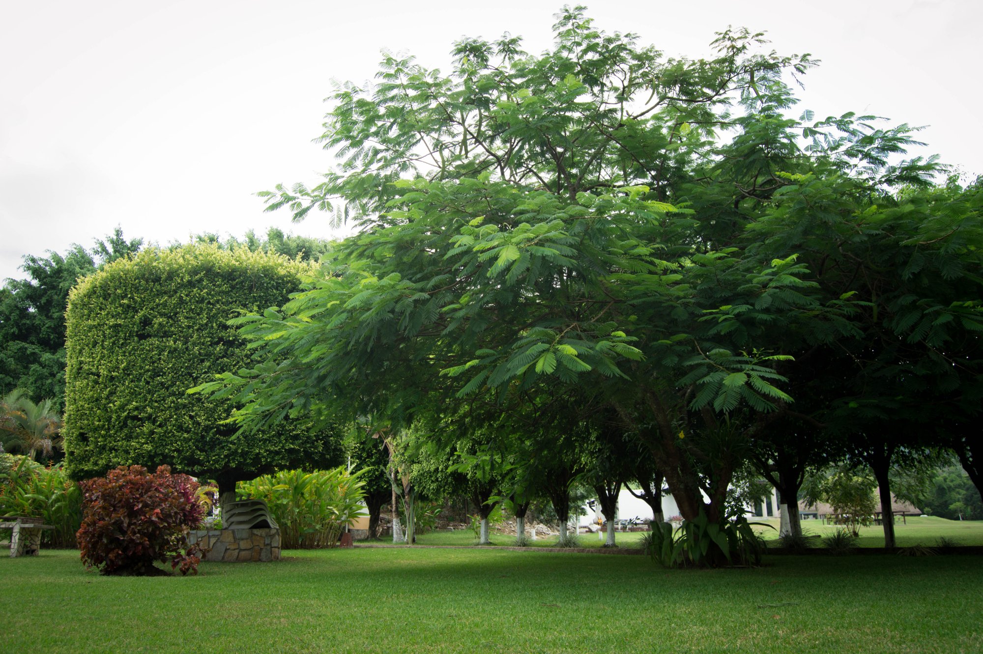 Hotel Campestre Tamisaqua-家庭/游戏区