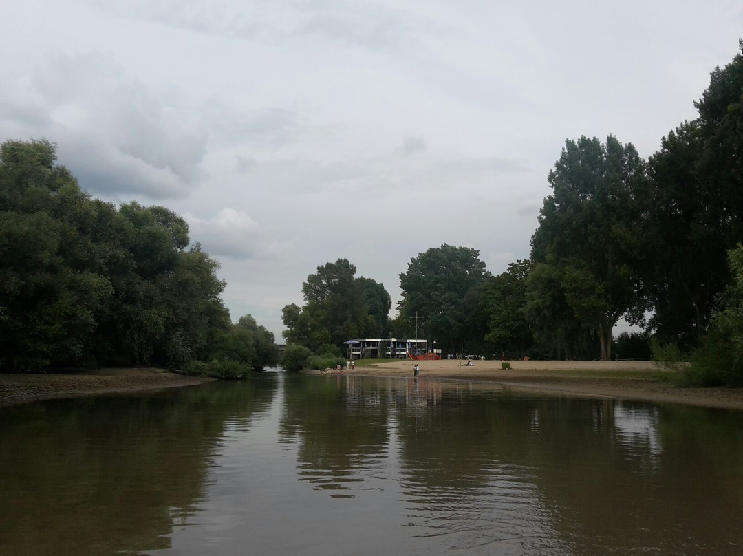 Rettbergsaue Schierstein景点图片