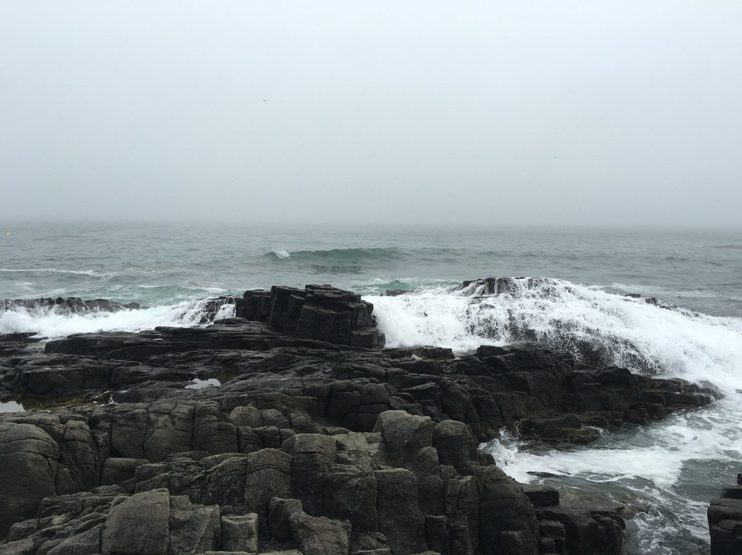 Hanasaki Seaport-根室市必去景点