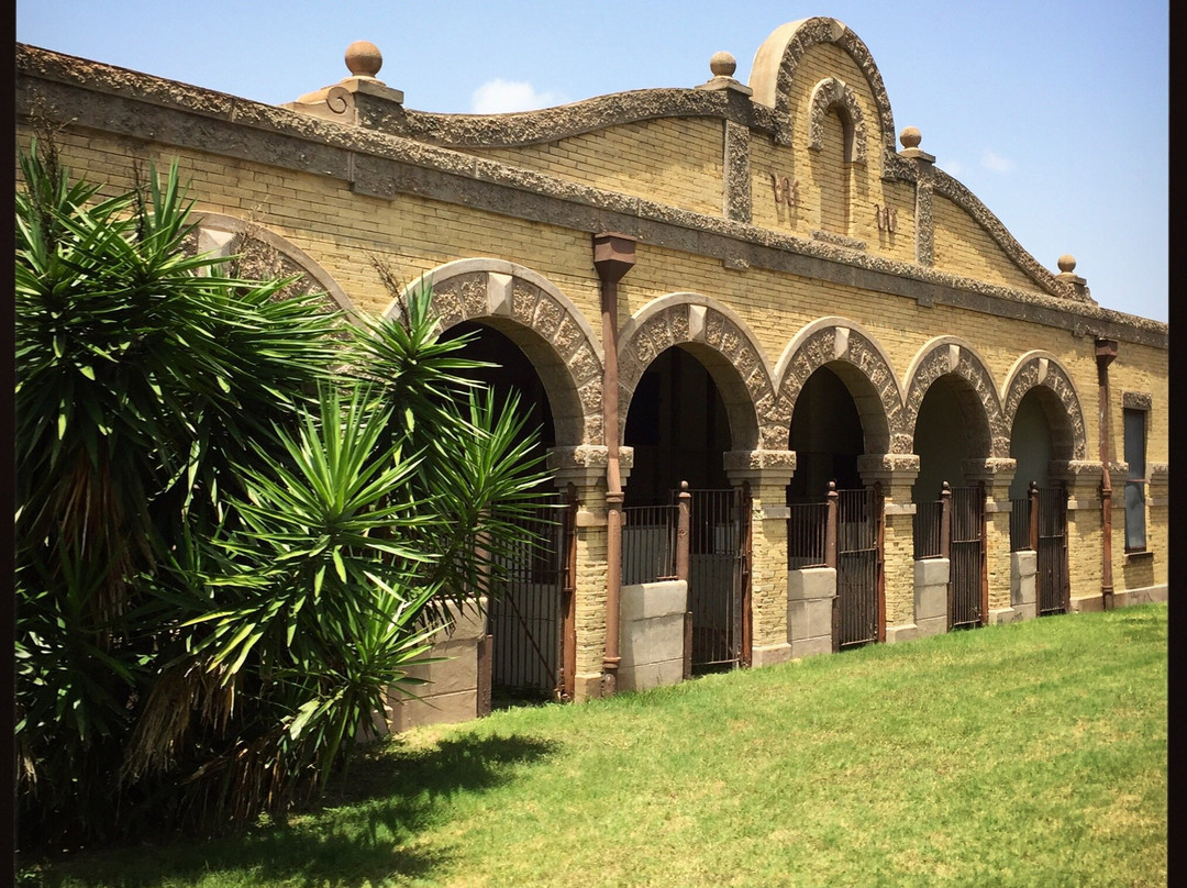 Kingsville旅游攻略图片