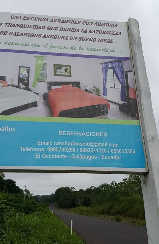 Rancho Don Solo主图