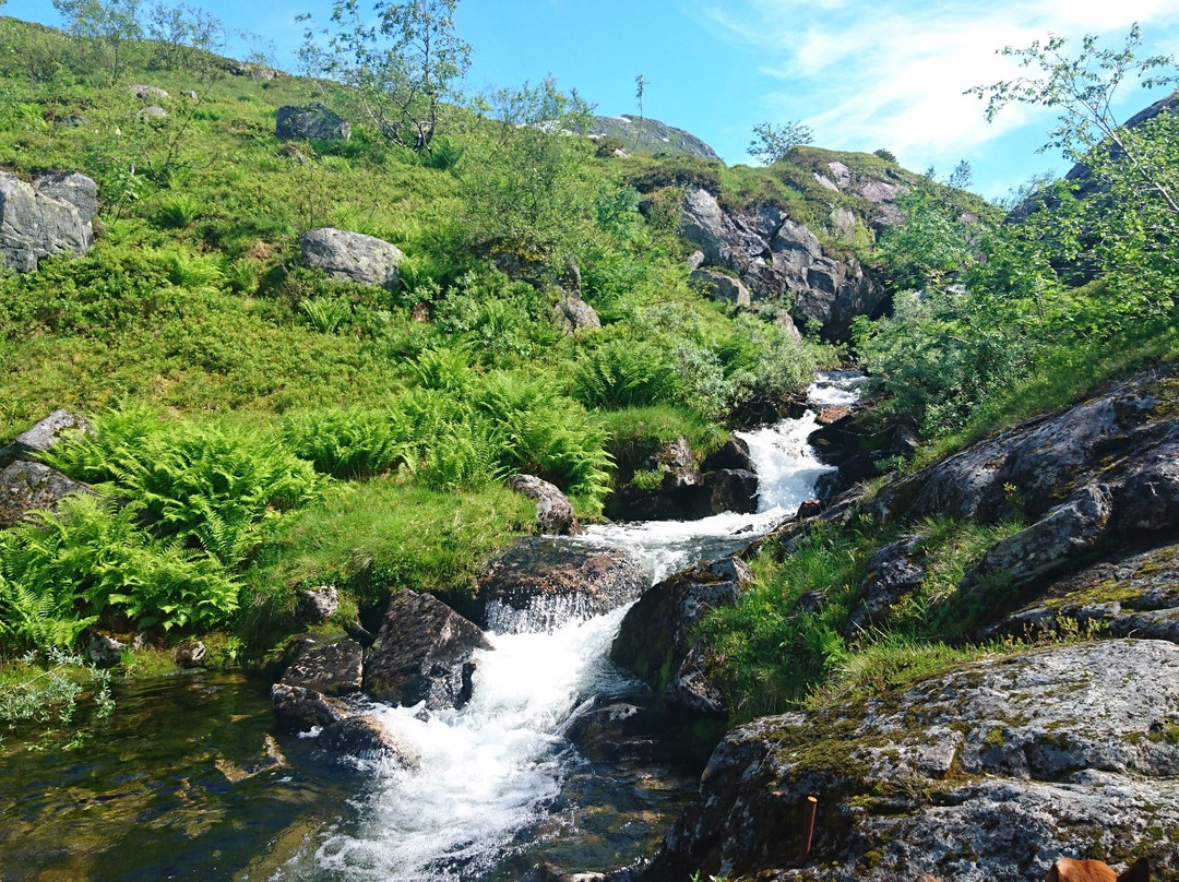null-Balestrand