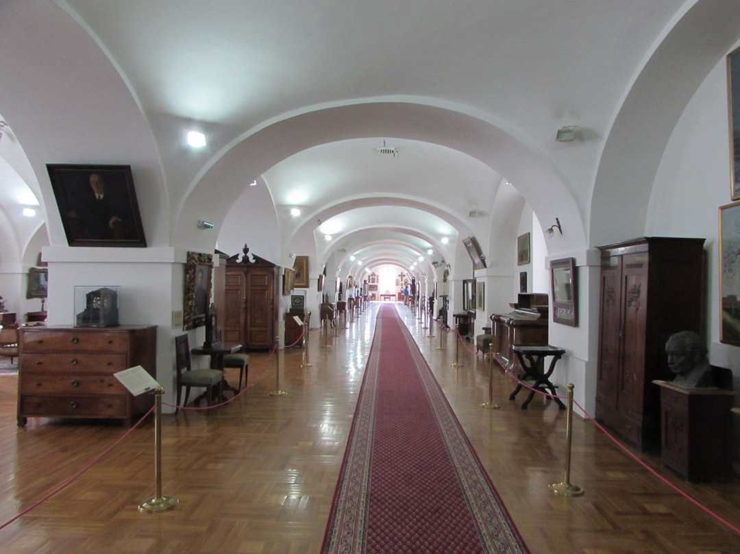 City Museum of Novi Sad景点图片