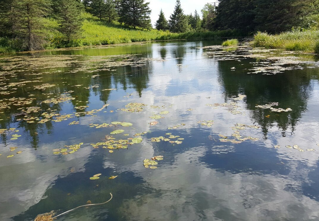 Carberry旅游攻略图片