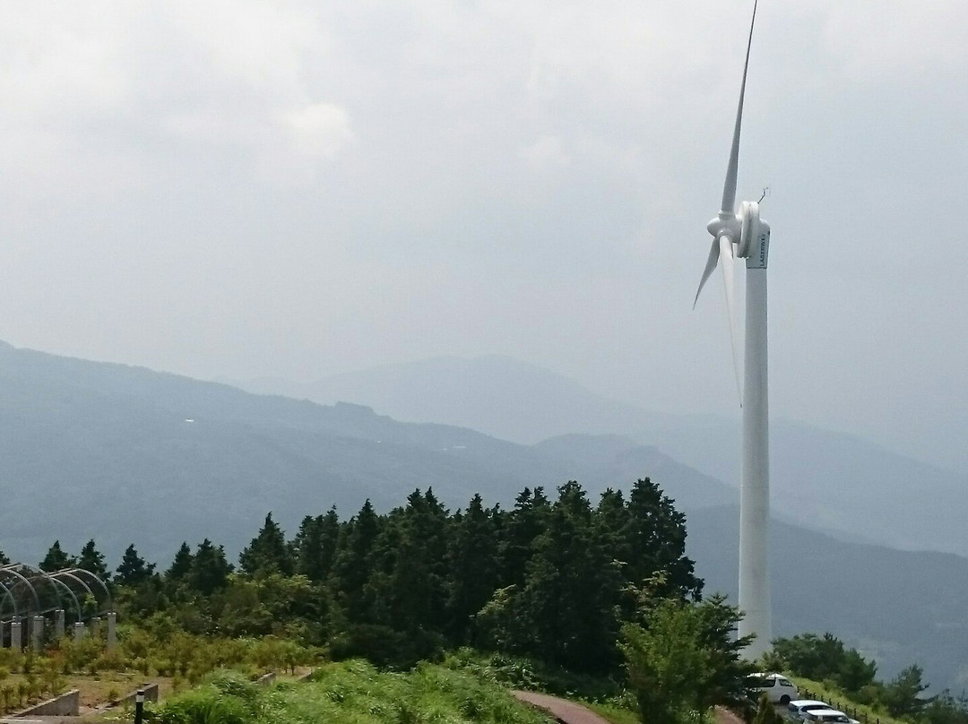 Yutorist Park Otoyo-大豊町必去景点