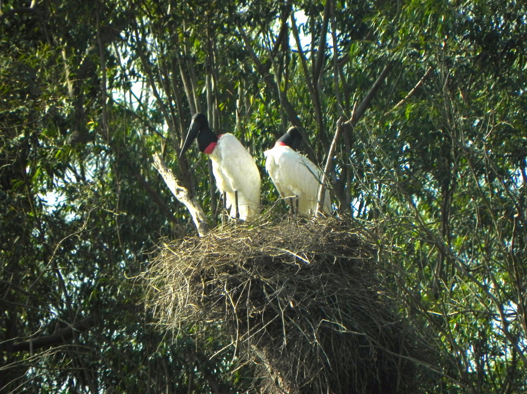 Reserva Provincial San Nicolás-San Miguel必去景点