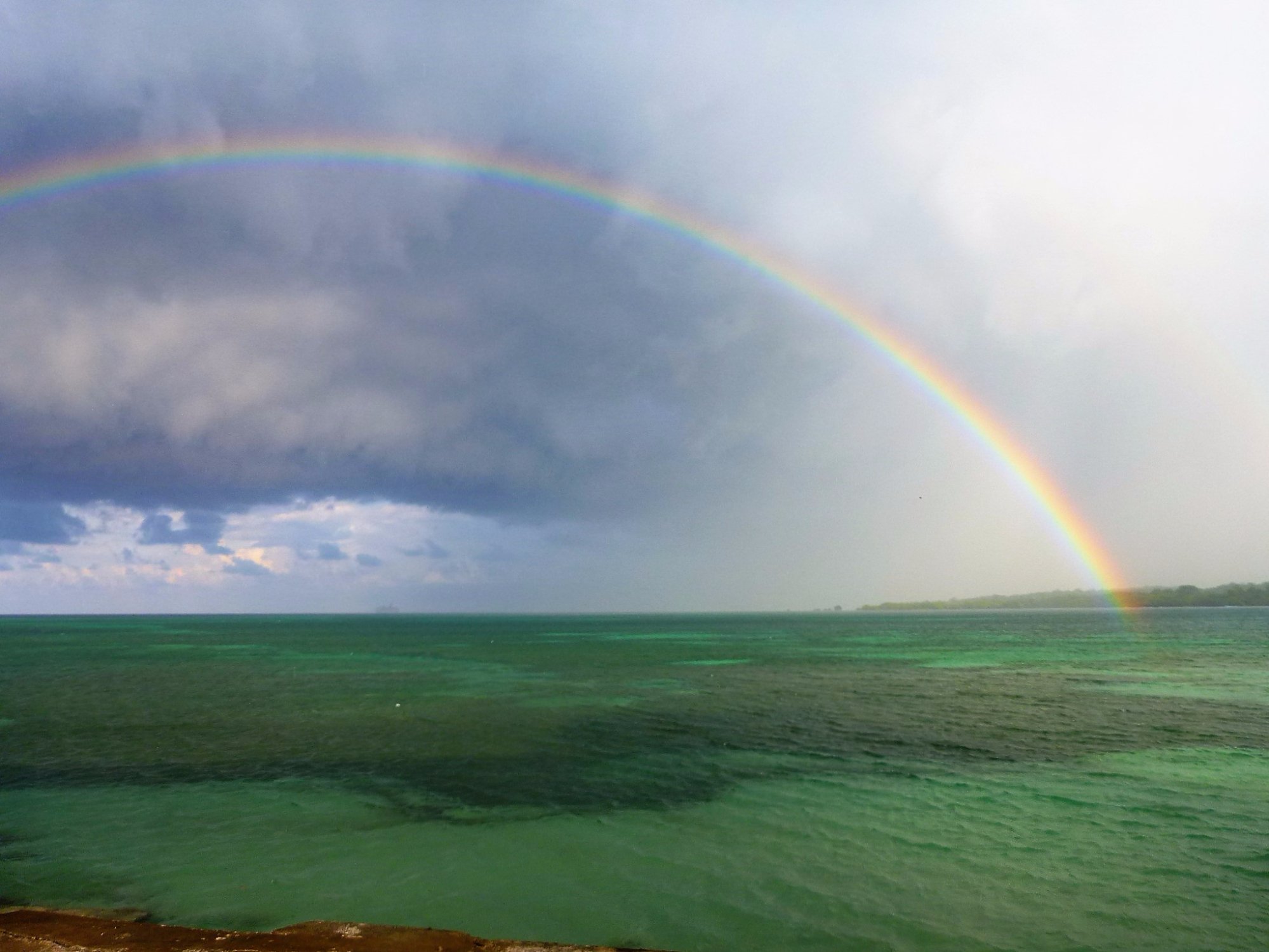 Hunny Bay Resort-泳池