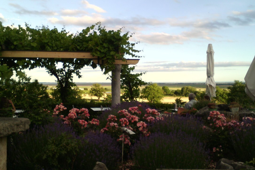 Weingut Kloster am Spitz - Thomas Schwarz景点图片