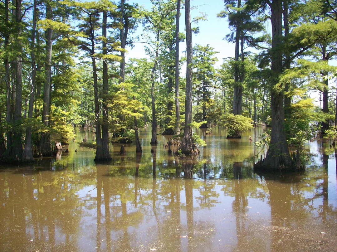 Horseshoe Lake State & Wildlife Area-Miller City必去景点