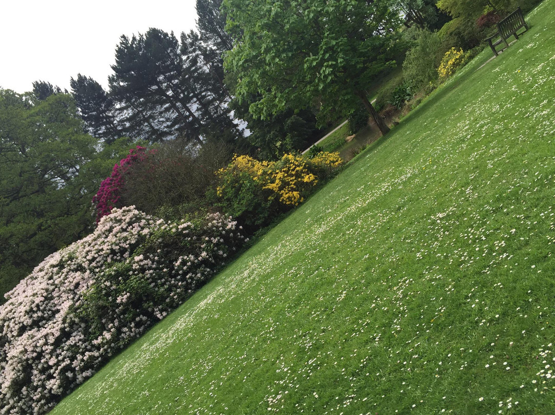 Whirlow Brook Park-谢菲尔德必去景点