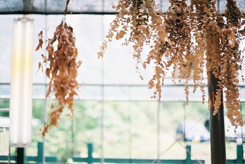 Nasu Herb Honey Garden-那须町必去景点