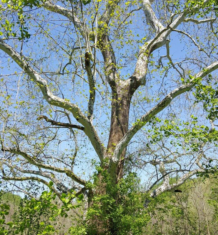 Ashland Nature Center-Hockessin必去景点