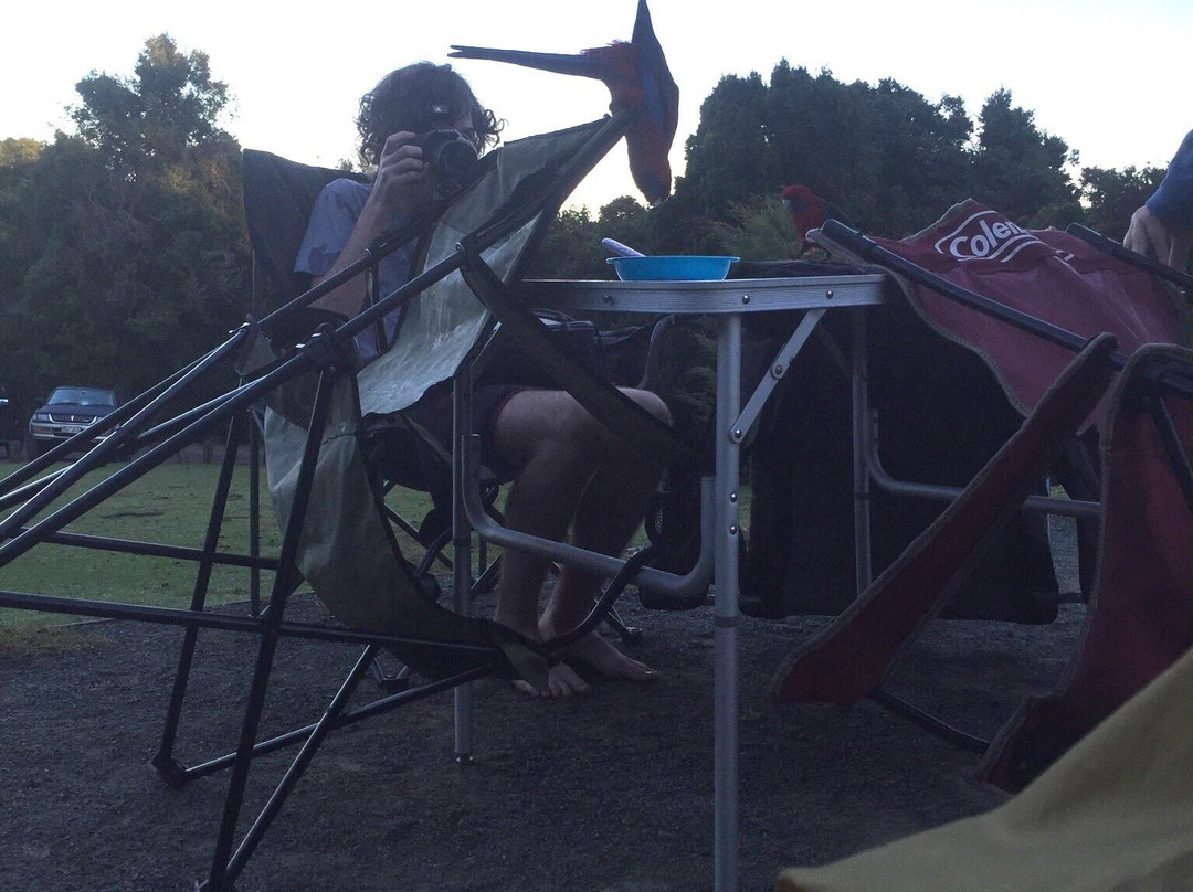 Green Mountain Camp Site景点图片