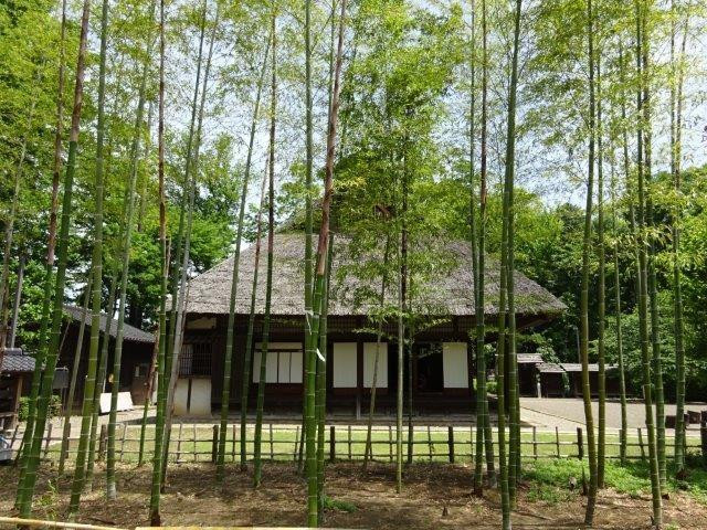 Kawagoe Michiryokuchi Old House Garden-立川市必去景点