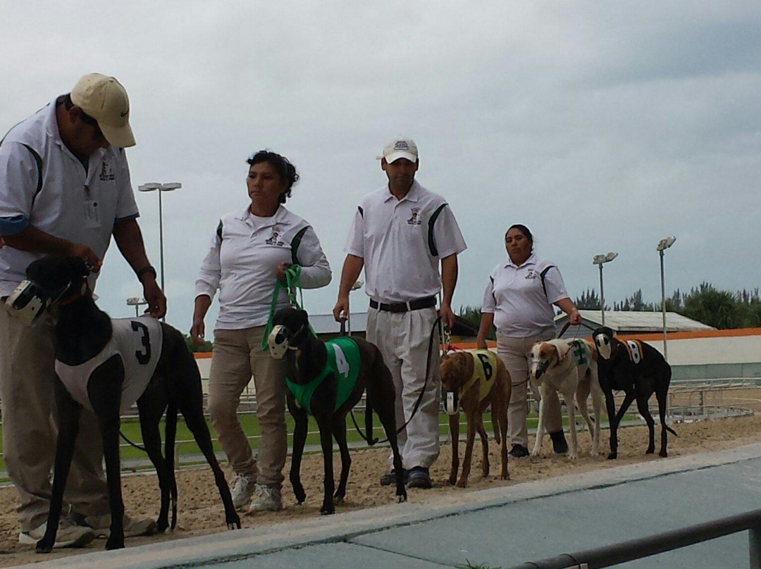 Naples Fort Myers Greyhound Track-博尼塔斯普林斯必去景点