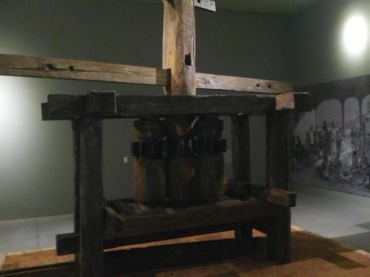 Museu Da Cachaca-Salinas必去景点