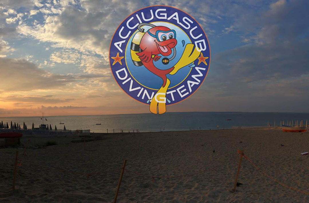 Acciugasub Diving-Bergeggi必去景点