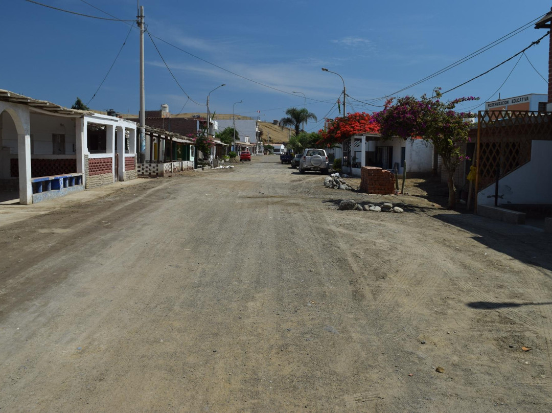 Playa Caleta Vidal-Puerto Supe必去景点