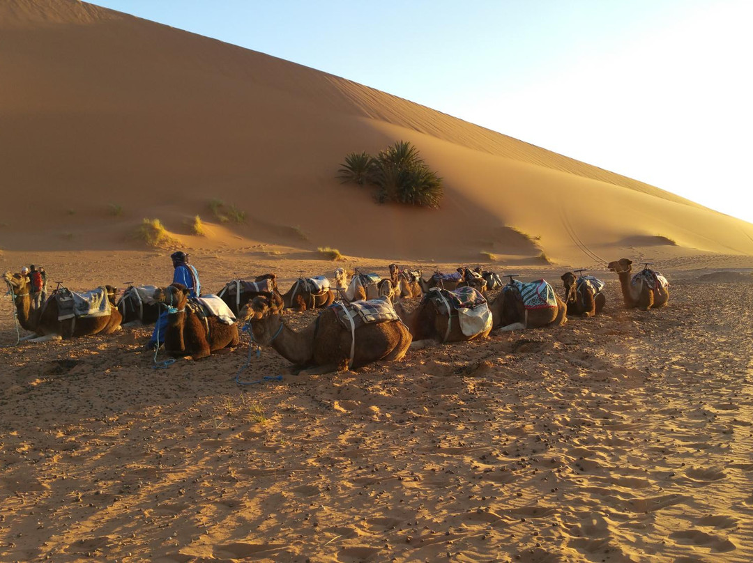 Esencias de Marruecos景点图片