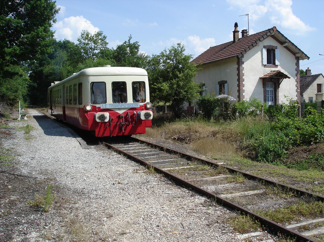 Train Touristique du Pays de Puisaye Forterre景点图片