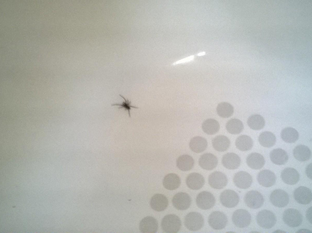 Bayside Inn & Suites