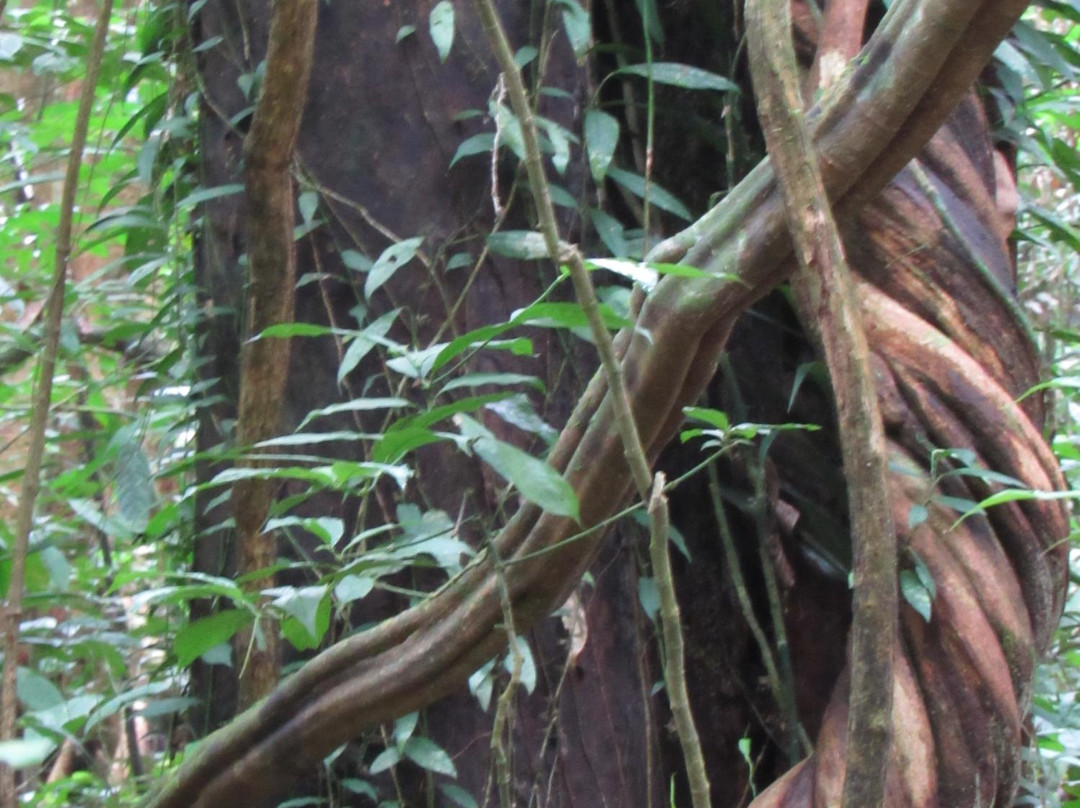 Garden Of Eden Valley Walk-姆鲁国家公园必去景点