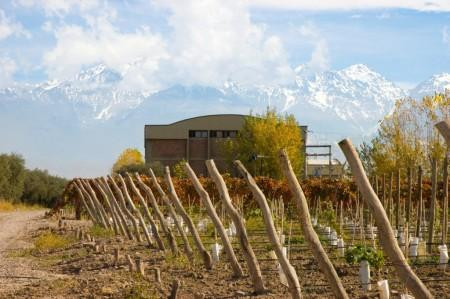 La Añorada Bodega y Viñedos-Cruz de Piedra必去景点