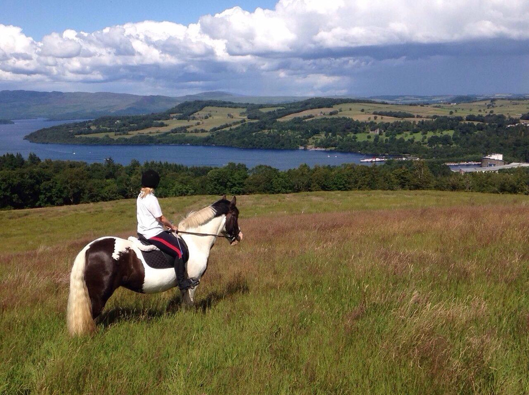 Loch Lomond Pony Trekking-Balloch必去景点