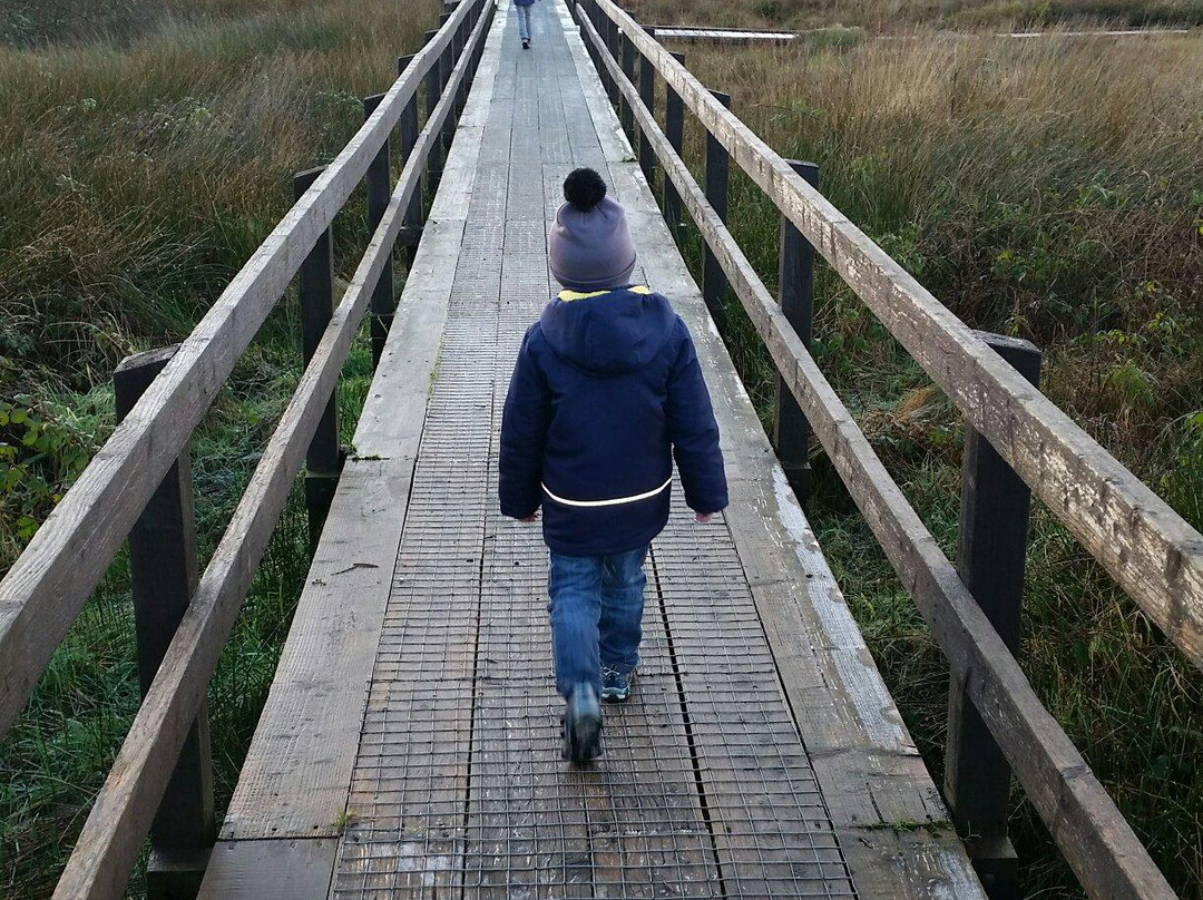 Ballyhoura Outdoor Classroom - Griston Bog